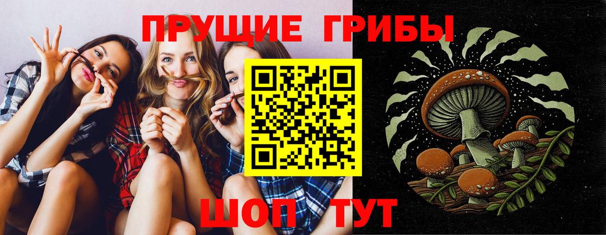 Галлюциногенные грибы MAGIC MUSHROOMS  Вход с VPN  Анапа 